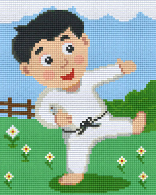 Judo Four [4] Baseplatge PixelHobby Mini-mosaic Art Kits